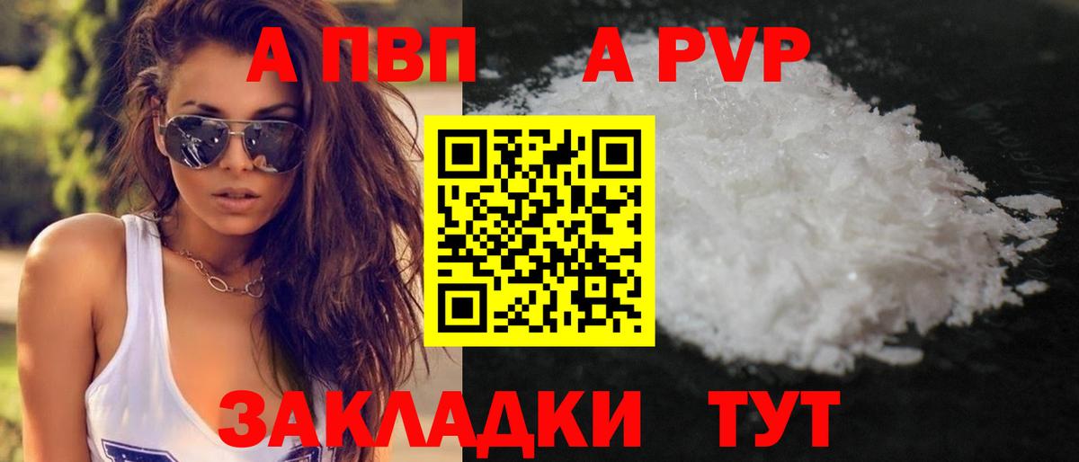 Alfa_PVP СК Калининград