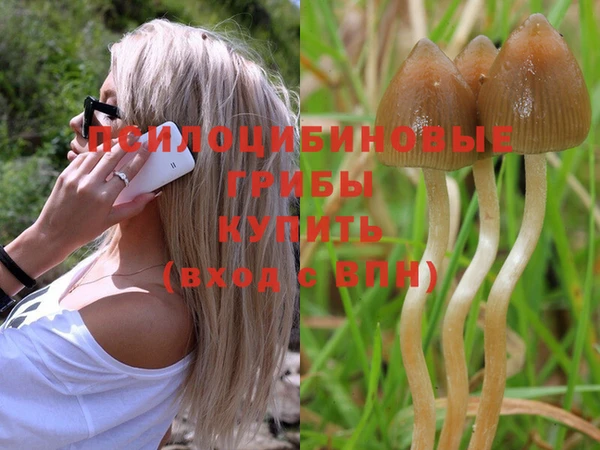 мдма Кулебаки