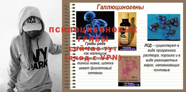гашик Кукмор