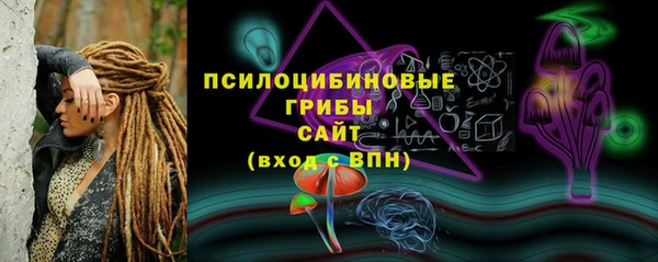 гашик Кукмор