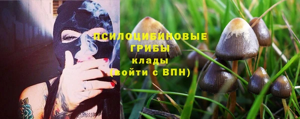 гашик Кукмор