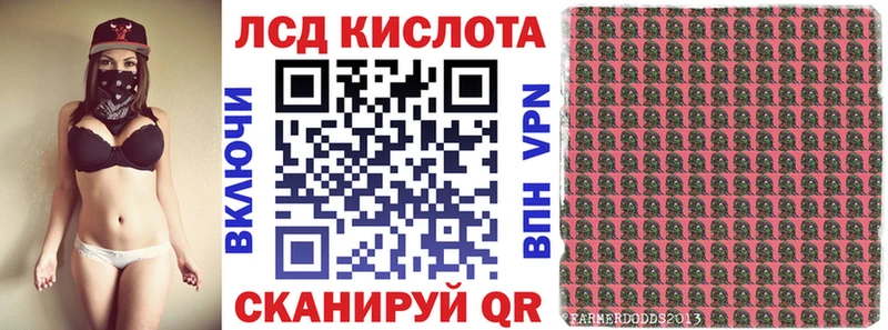 купить закладку Калининград Наркотические марки 1,5мг