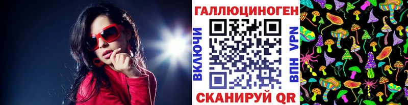 Псилоцибиновые грибы Psilocybine cubensis  гидра онион  Калининград 