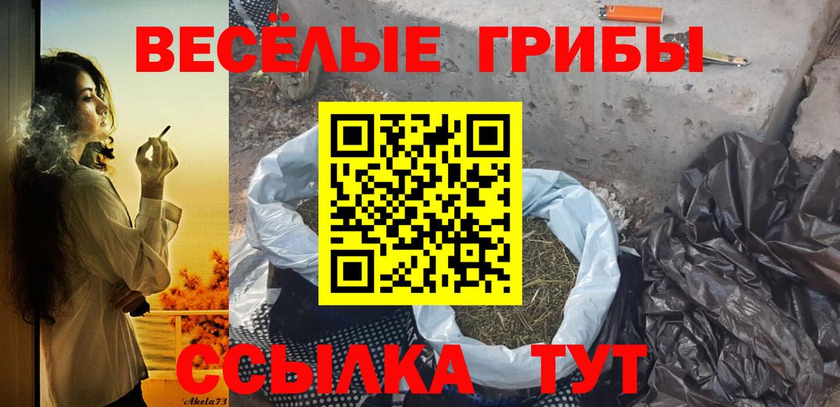 Псилоцибиновые грибы Magic Shrooms  Калининград  Галлюциногенные грибы Cubensis 