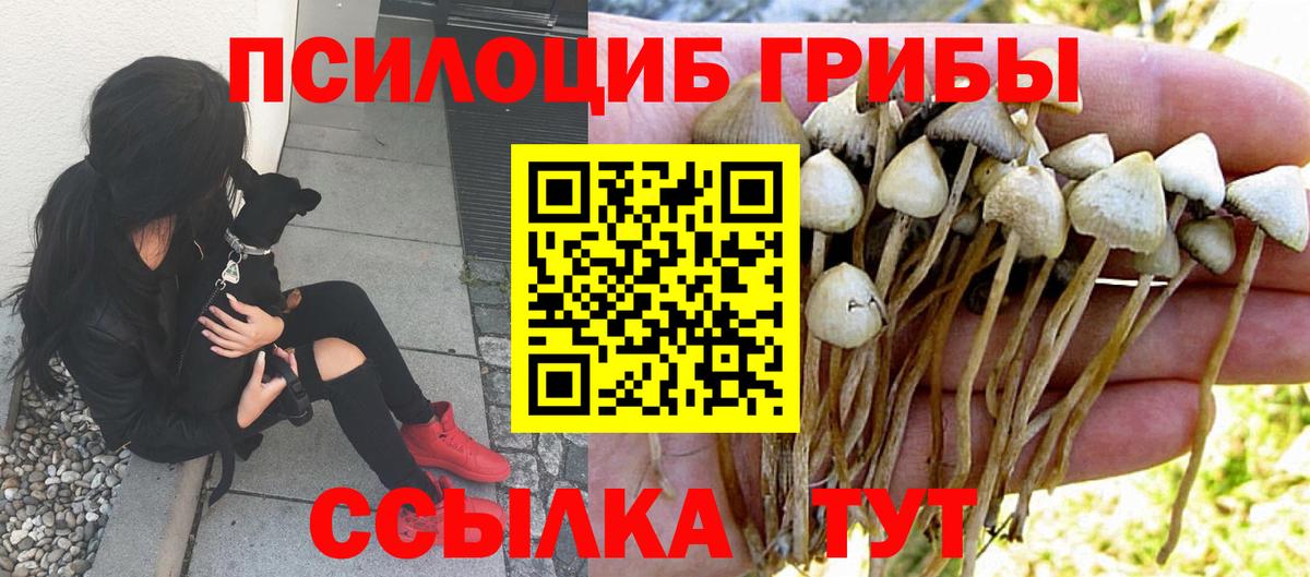 Галлюциногенные грибы ЛСД  Вход с VPN  Калининград 