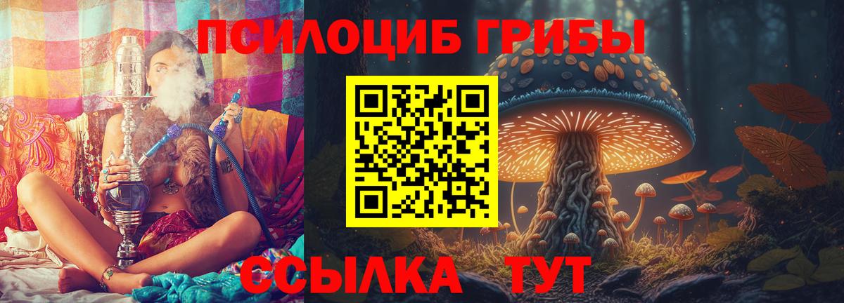 Галлюциногенные грибы GOLDEN TEACHER Калининград