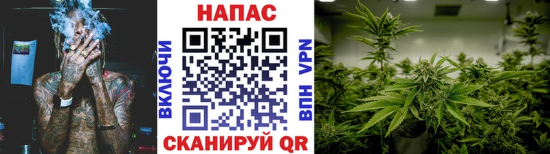 Канабис SATIVA & INDICA  Калининград 