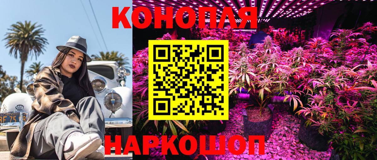 Шишки марихуана OG Kush  Калининград  МАРИХУАНА SATIVA & INDICA  Канабис сатива 